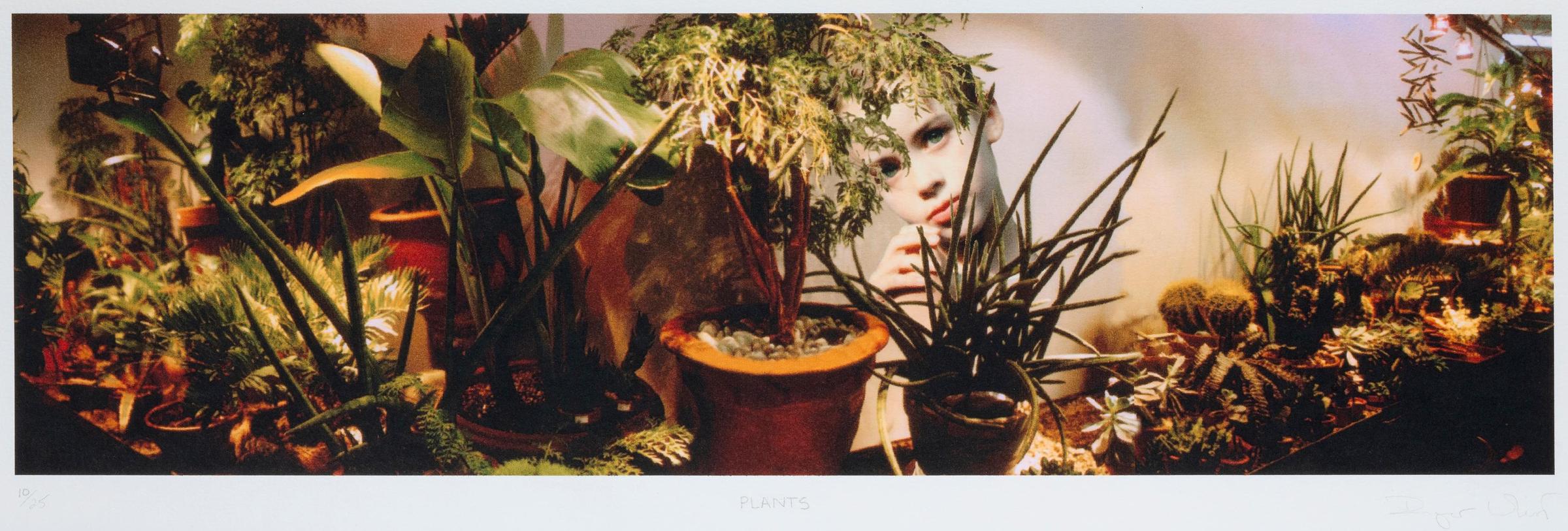 Inger Whist - Plants