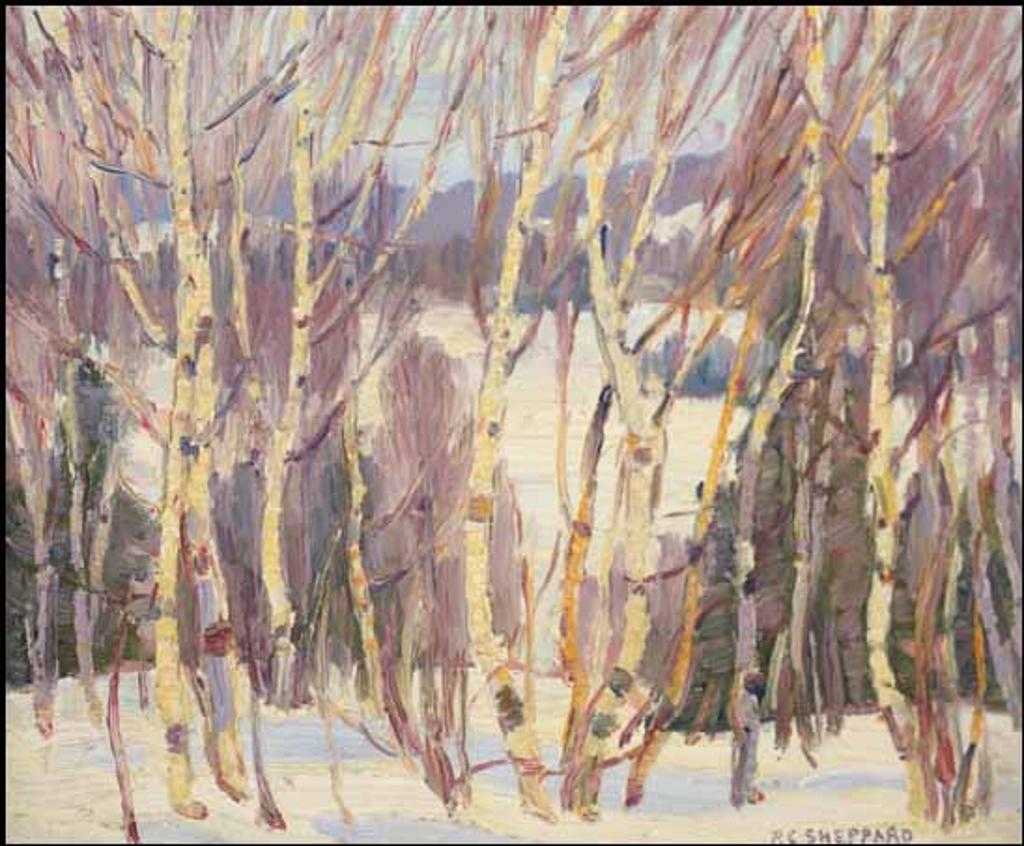 Peter Clapham (P.C.) Sheppard (1882-1965) - Winter, Paudash Lake (near Bancroft)