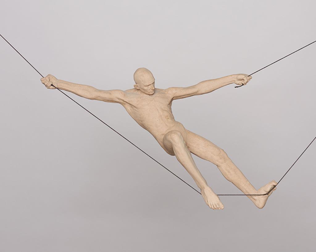 David Robinson (1964) - Suspended Figure