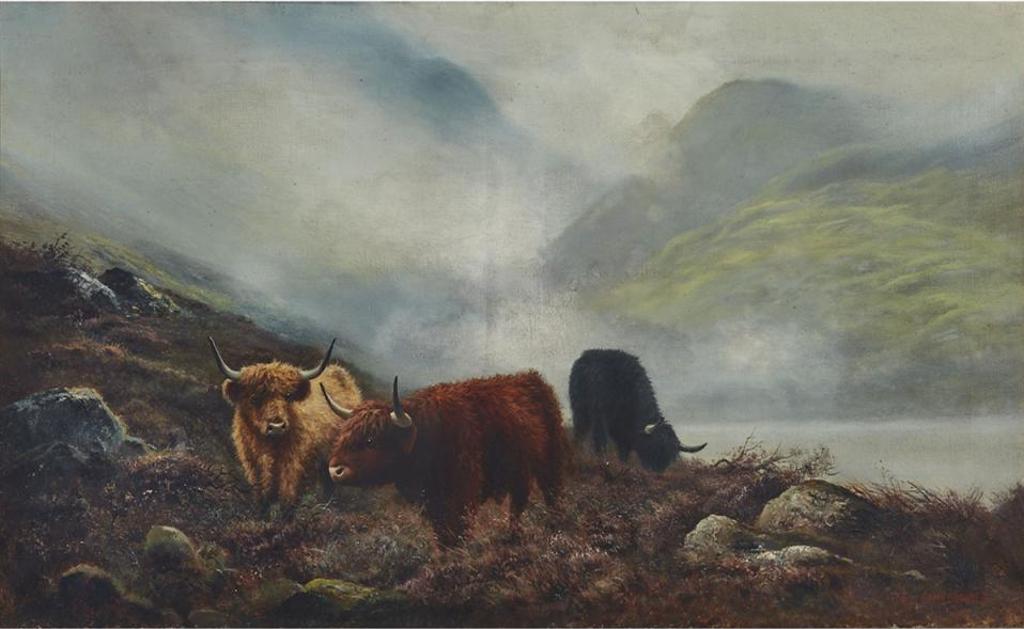 G. McDonald - Highland Cattle In The Mist