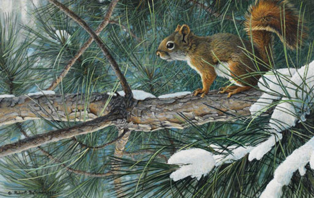 Robert Mclellan Bateman (1930-1922) - Red Squirrel