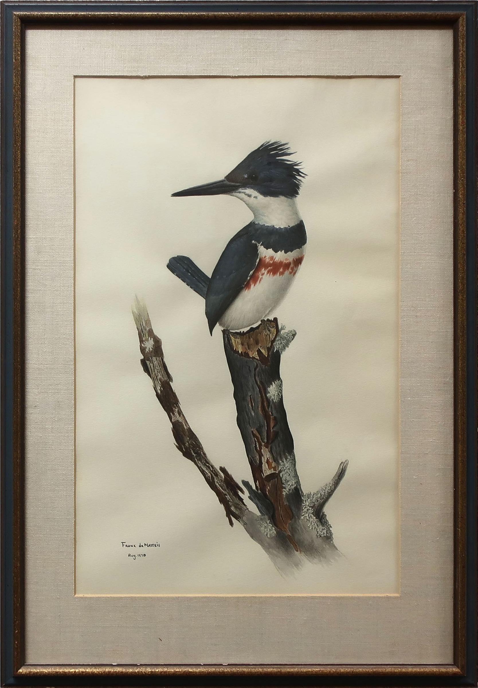 Frank Alberto de Matteis (1952) - Kingfisher