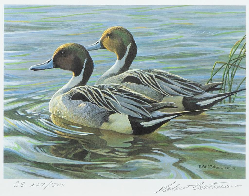 Robert Mclellan Bateman (1930-1922) - Pintails in Spring