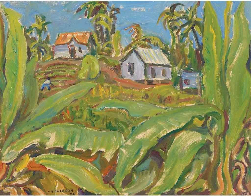 Alexander Young (A. Y.) Jackson (1882-1974) - Jamaican Landscape