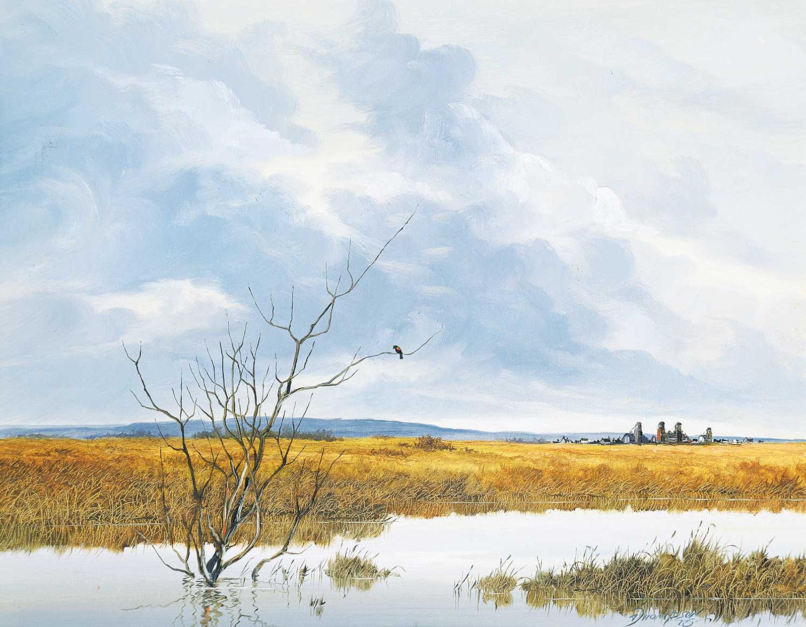 Allan Robert Thompson (1949) - Untitled - Clouds Over Prairie Slough