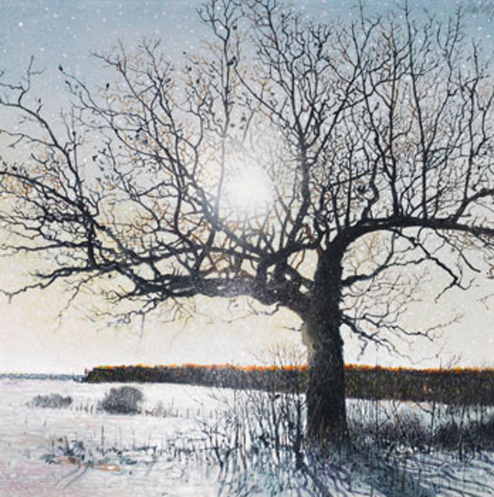 Ronald (Ron) William Bolt (1938-2019) - Winter Oak