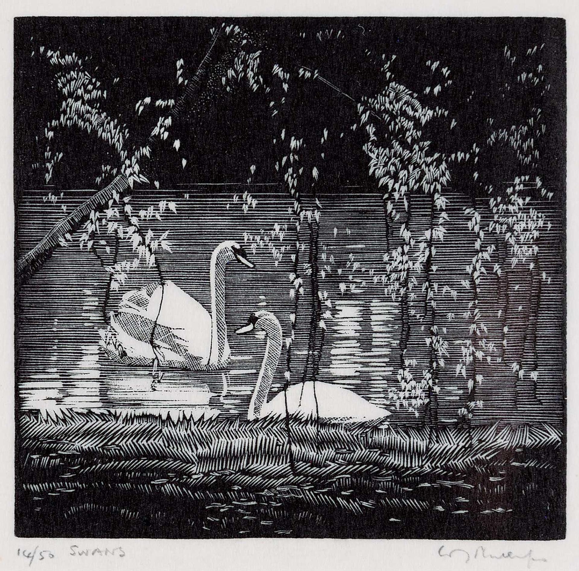 Walter Joseph (W.J.) Phillips (1884-1963) - Swans  #14/50