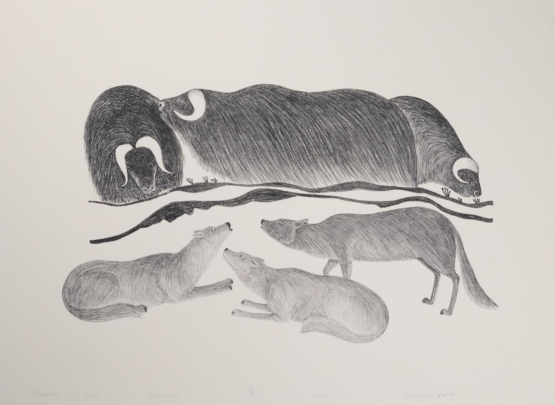 Kananginak Pootoogook (1935-2010) - Musk Ox And Wolves