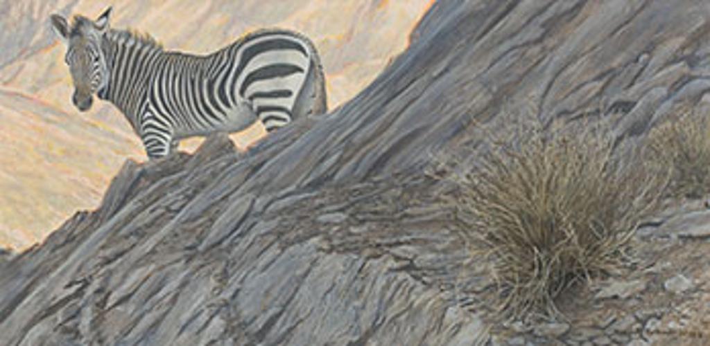 Robert Mclellan Bateman (1930-1922) - Zebra