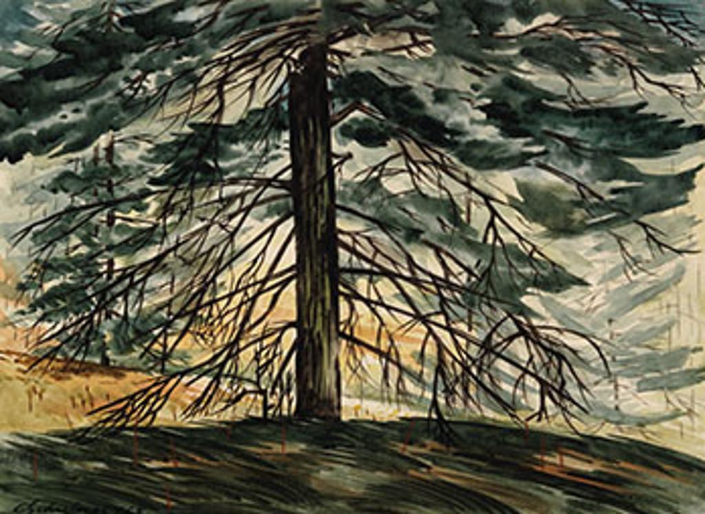 Carl Fellman Schaefer (1903-1995) - The White Pine, Pinnacle Hill Woods, Waterloo County