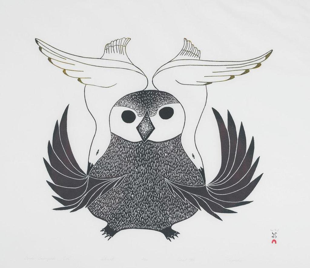 Napatchie Pootoogook (1938-2002) - Birds Encompass Owl