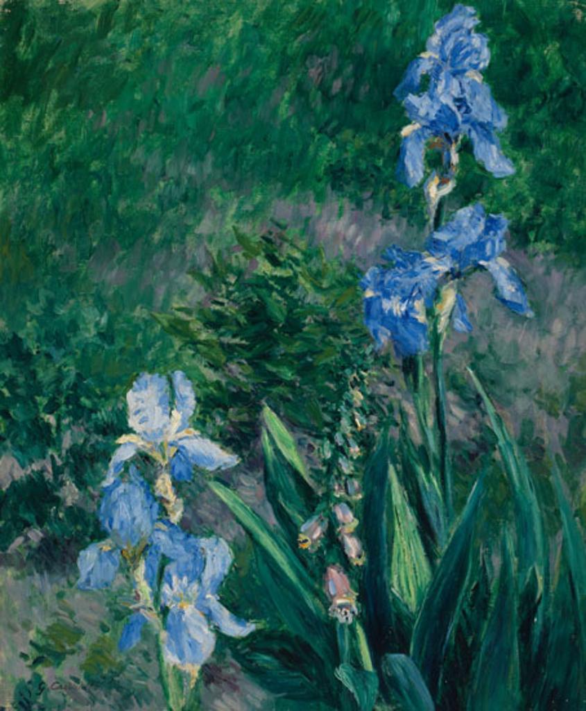 Gustave Caillebotte (1848-1894) - Iris bleus, jardin du Petit Gennevilliers