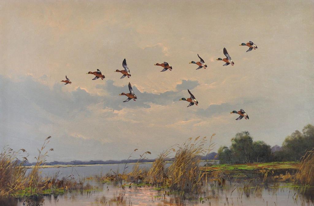 George Steeves - Mallards In Flight