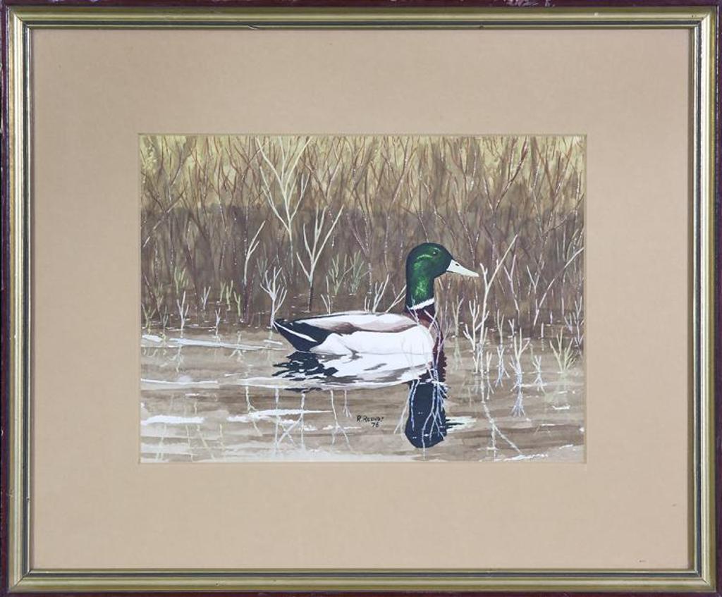 R. Rounds - Untitled - Mallard Duck