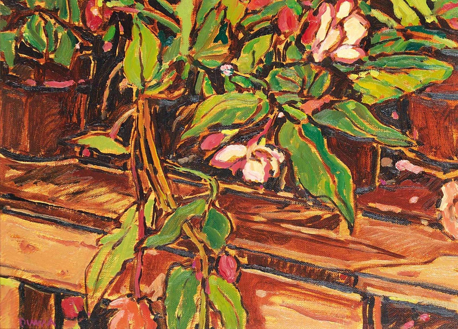 William (Bill) Duma (1936) - Potted Plants