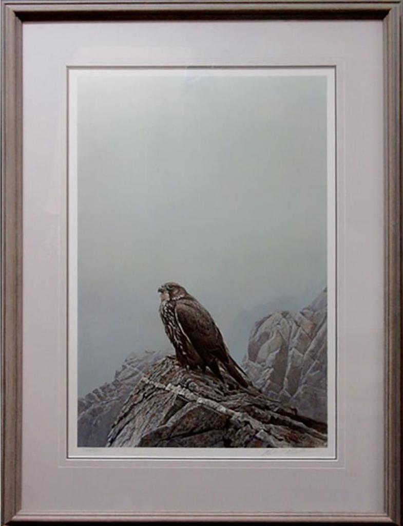 Robert Mclellan Bateman (1930-1922) - Dark Gyrfalcon