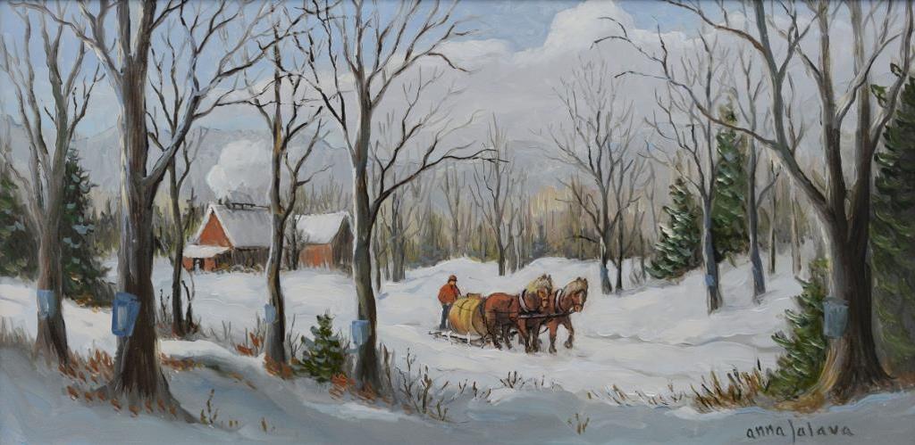 Anna Jalava (1926) - Collecting Maple Sap