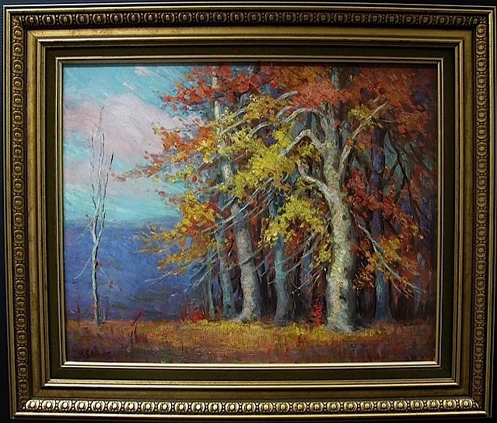 Emily Louise (Orr) Elliott (1867-1952) - Untitled (Autumn Trees)