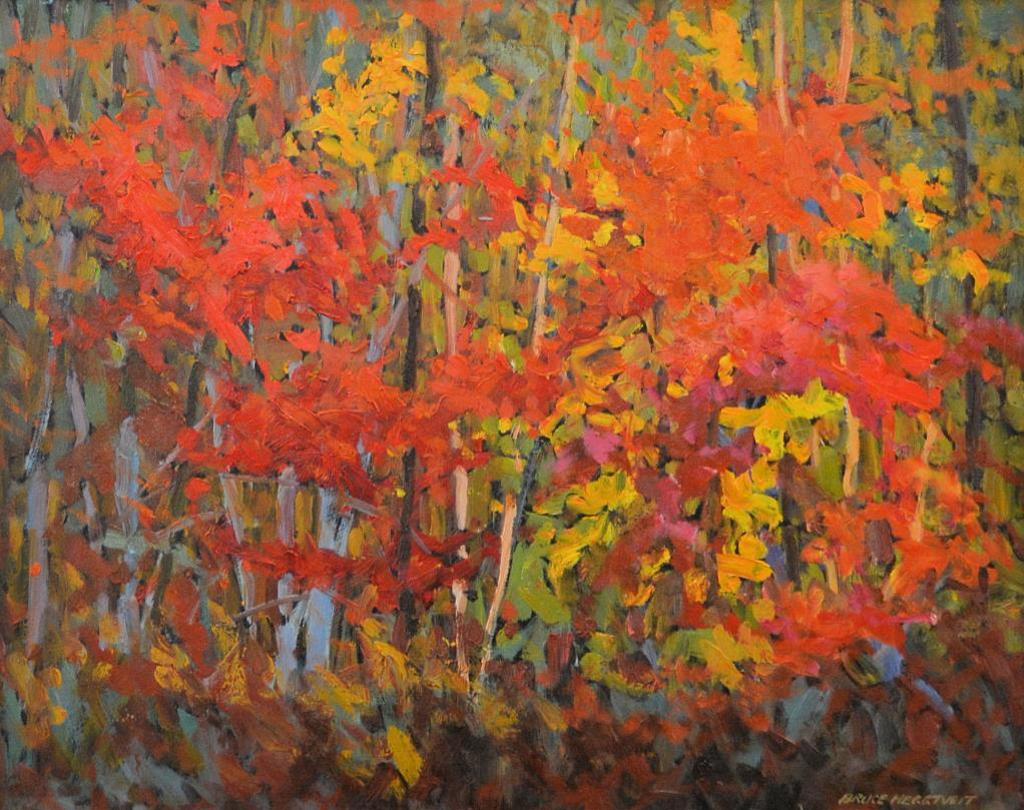 Bruce Allen Heggtveit (1917-2002) - Bush Interior, Gatineau Park