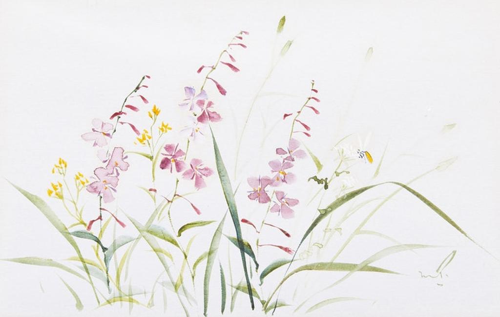 Marjorie Pigott (1904-1990) - Floral Studies