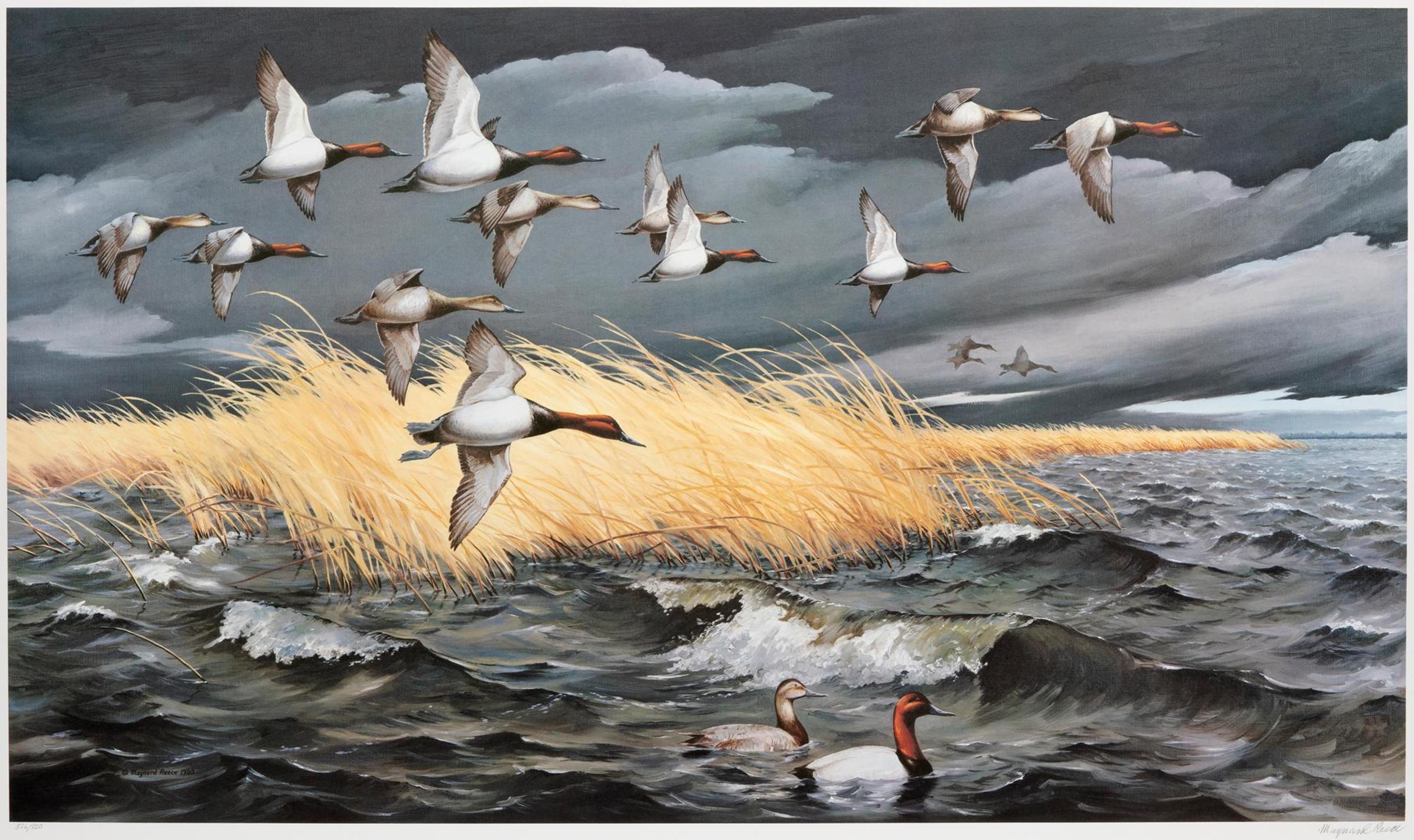 Maynard Reece (1920-2020) - Dark Sky, Canvasbacks