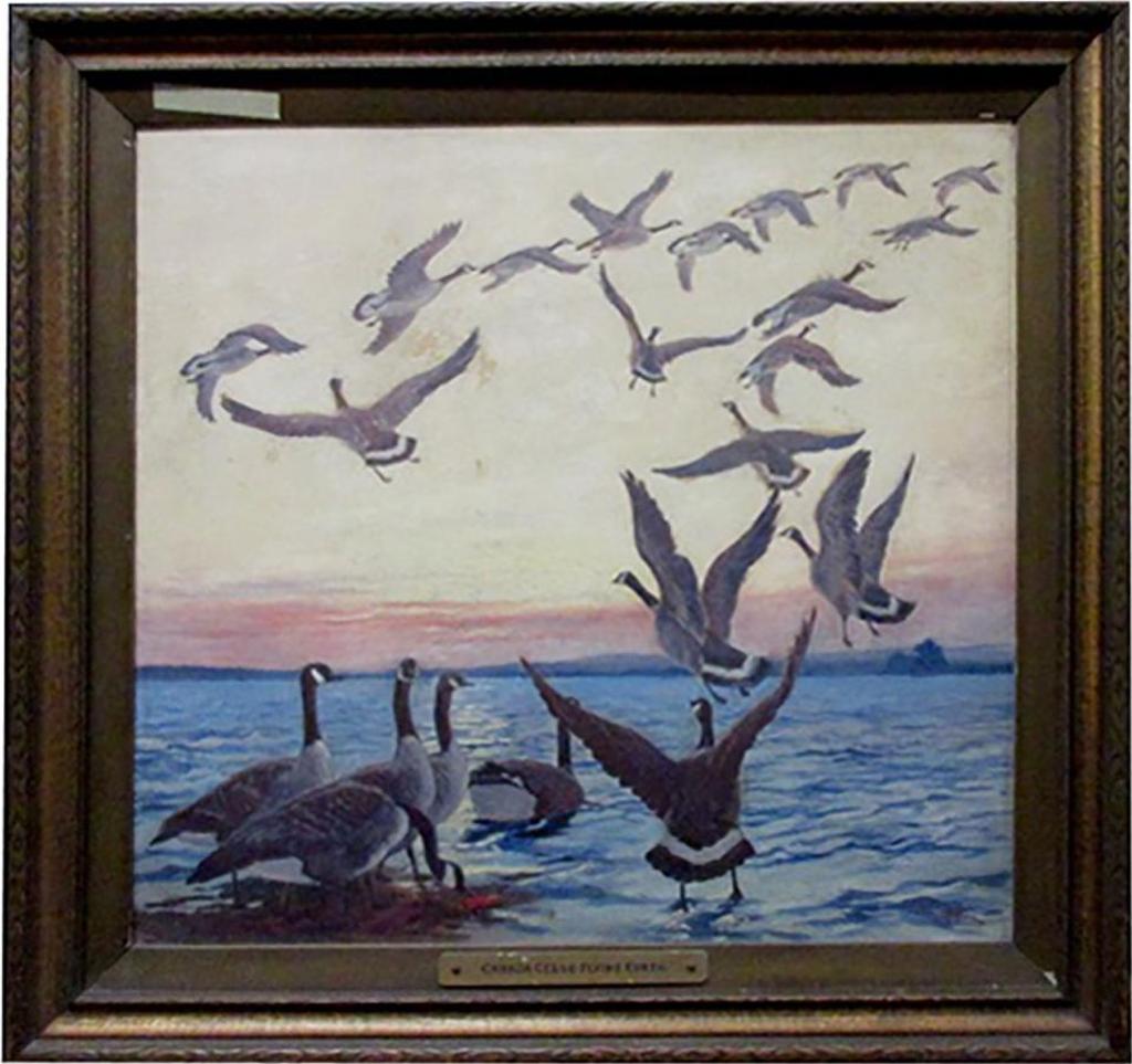 Alfred Henry Hider (1870-1952) - Canada Geese Flying North