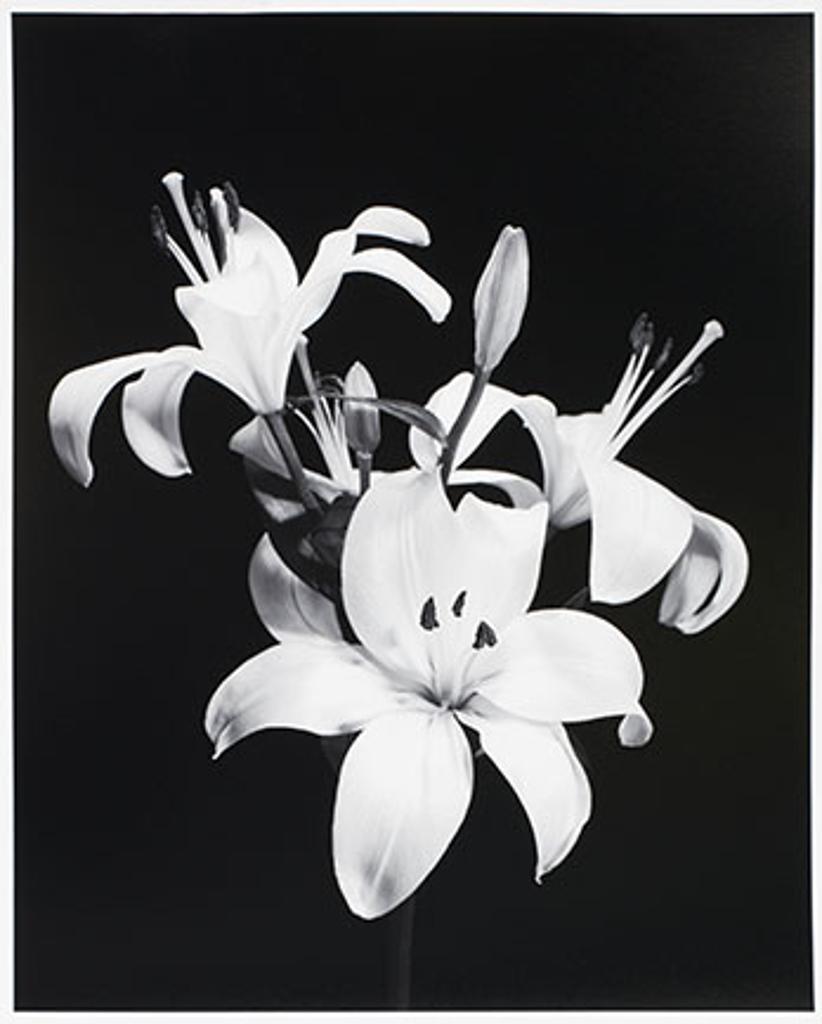 Ward Bastian (1982) - Flower Study 2