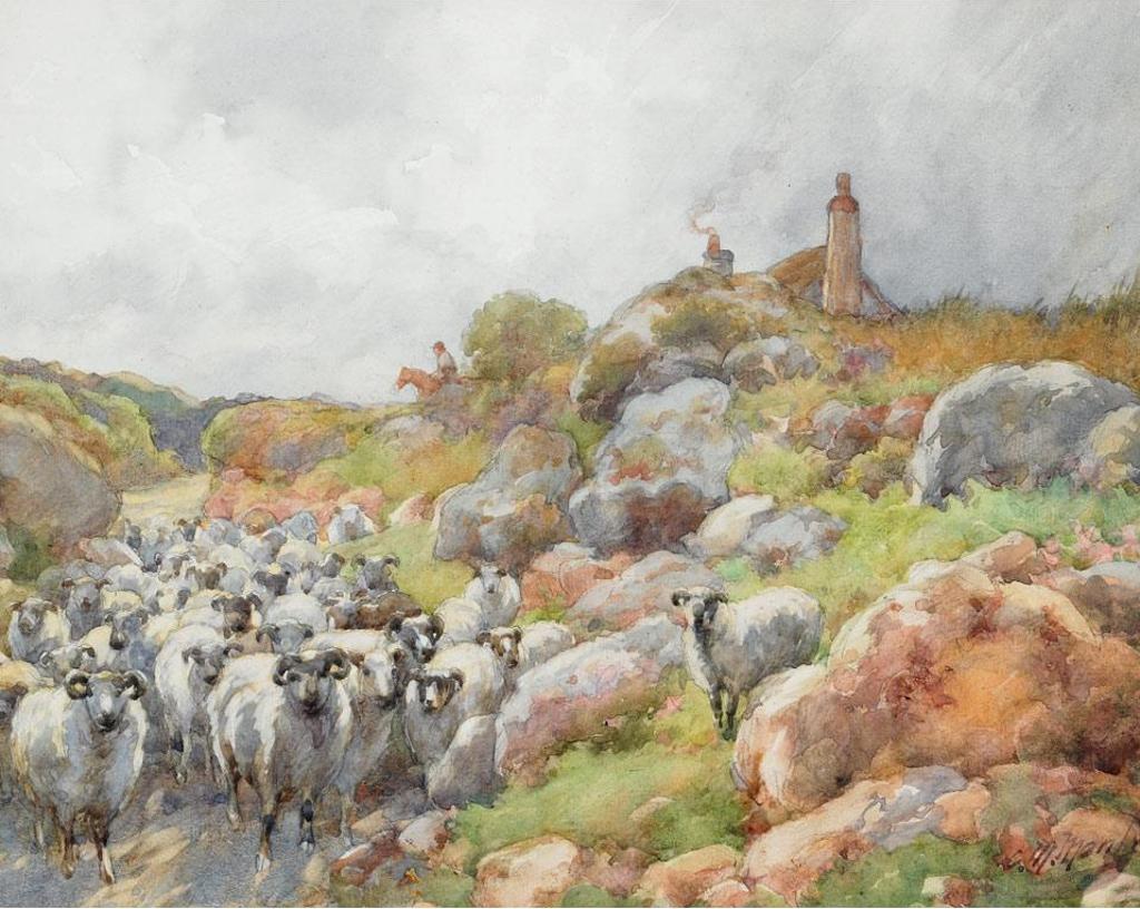 Charles MacDonald Manly (1855-1924) - Shepherding
