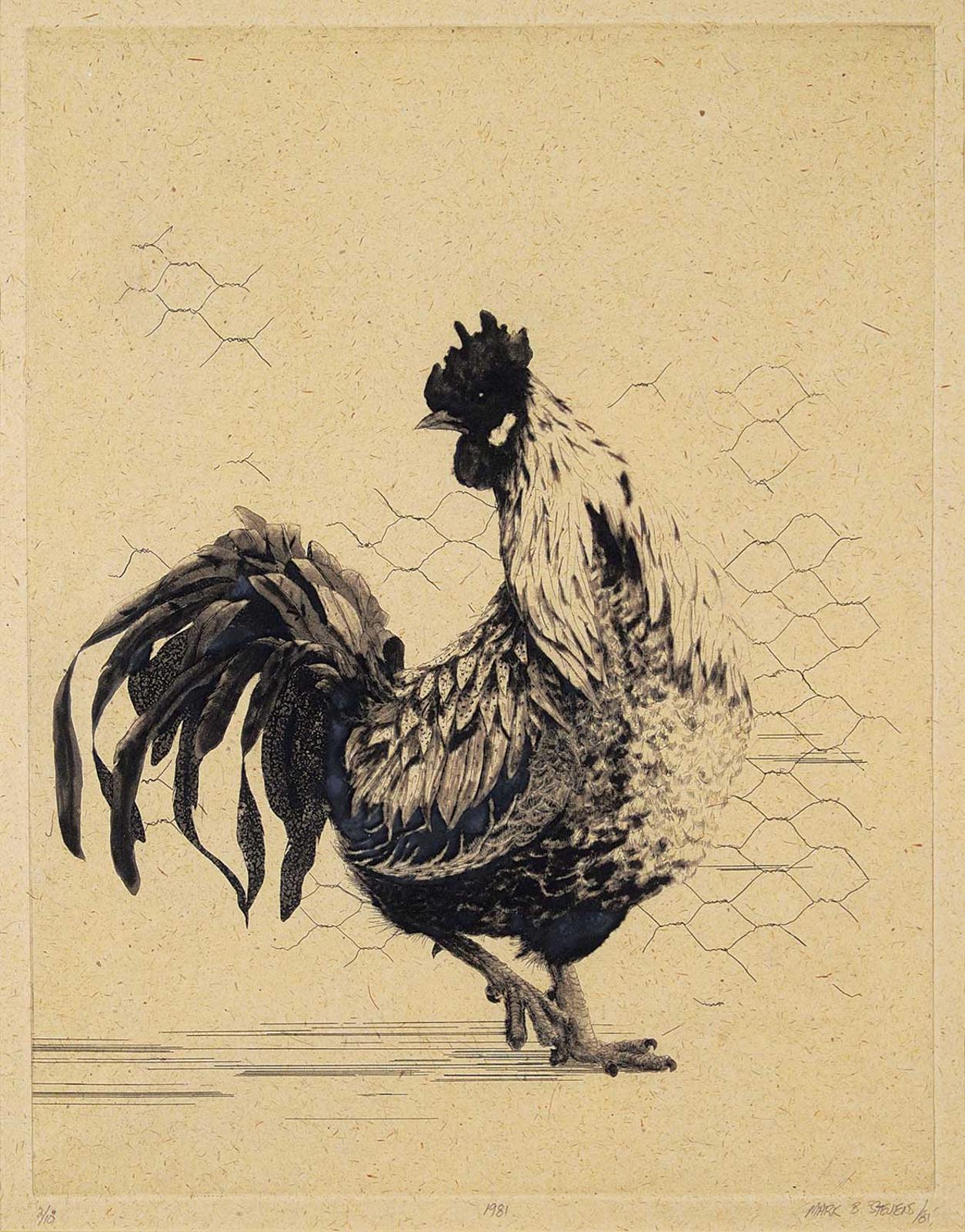 Mark B. Stevens - Untitled - The Rooster  #2/10
