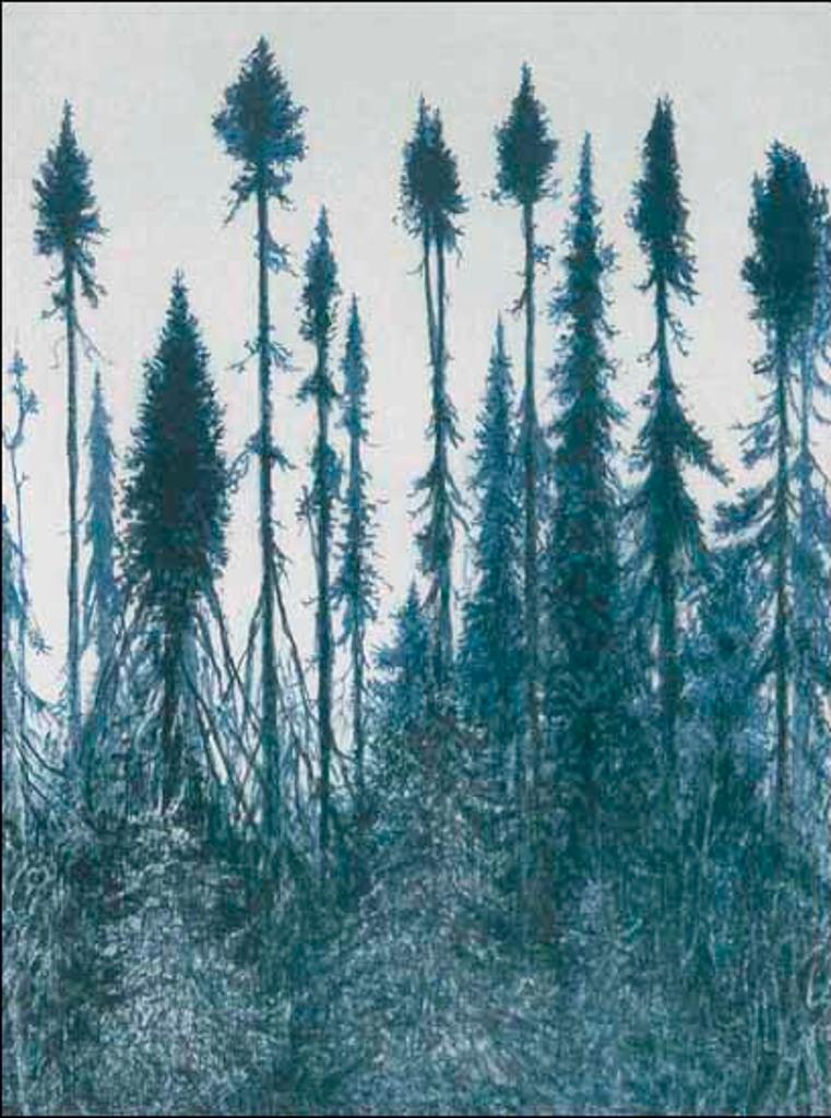 Robert Allen Paterson (1936-2013) - Jack Pine (02614/2013-1173)