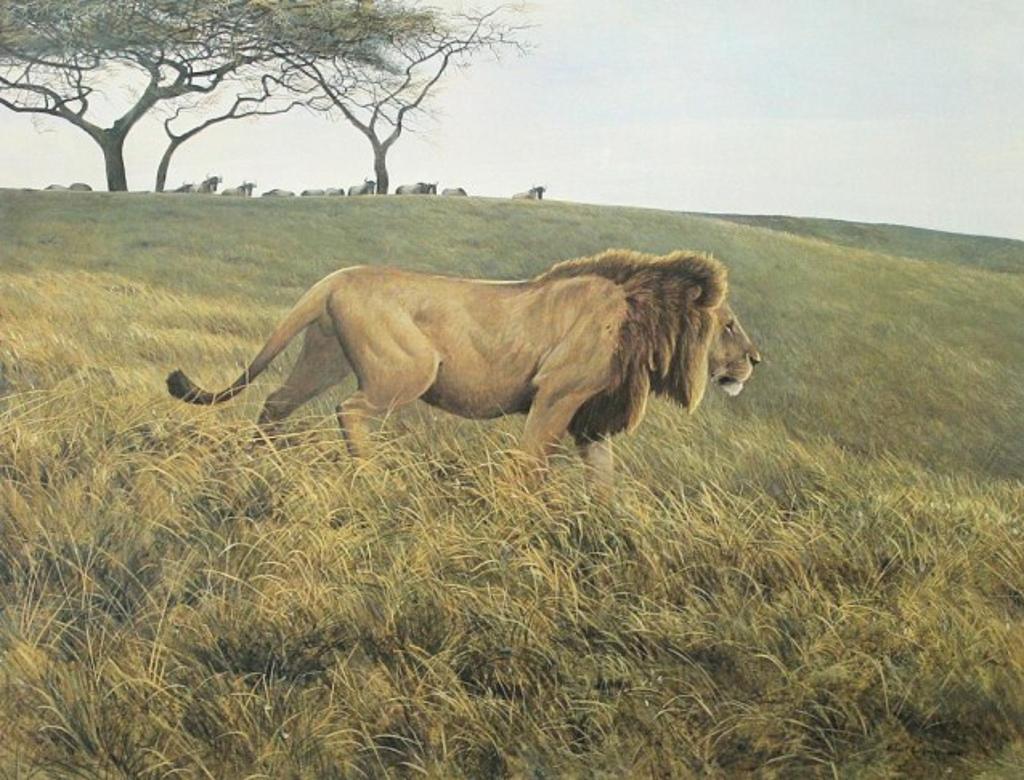 Robert Mclellan Bateman (1930-1922) - Lion on the Hunt
