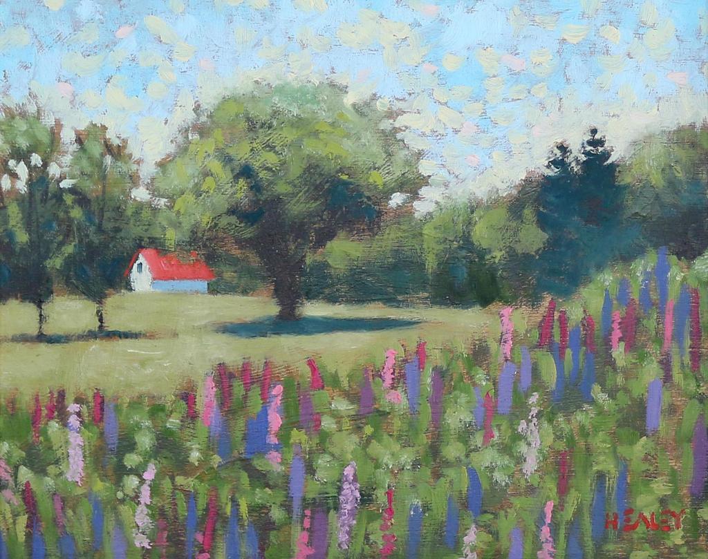 Paul Healey (1964) - Lupins, New Brunswick