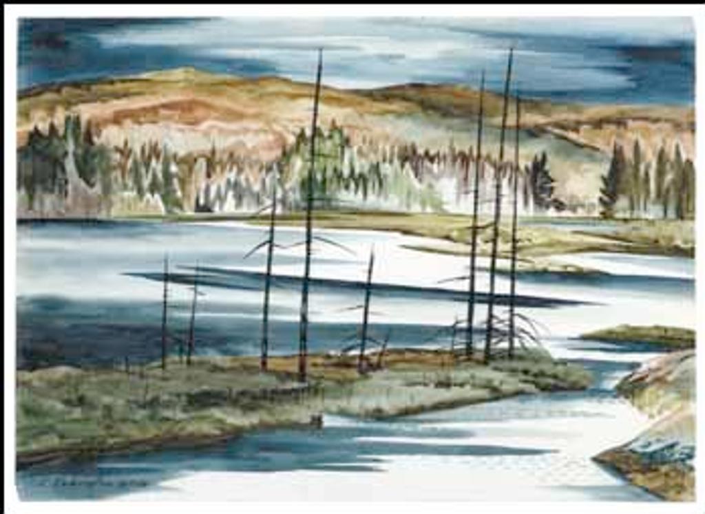 Carl Fellman Schaefer (1903-1995) - Beaver Meadow, Raven Lake, Haliburton (Raven Lake Series)