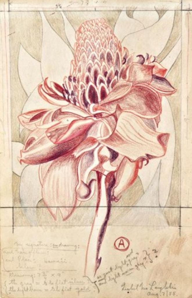 Isabel Grace McLaughlin (1903-2002) - Exotic Hawaiian Flower