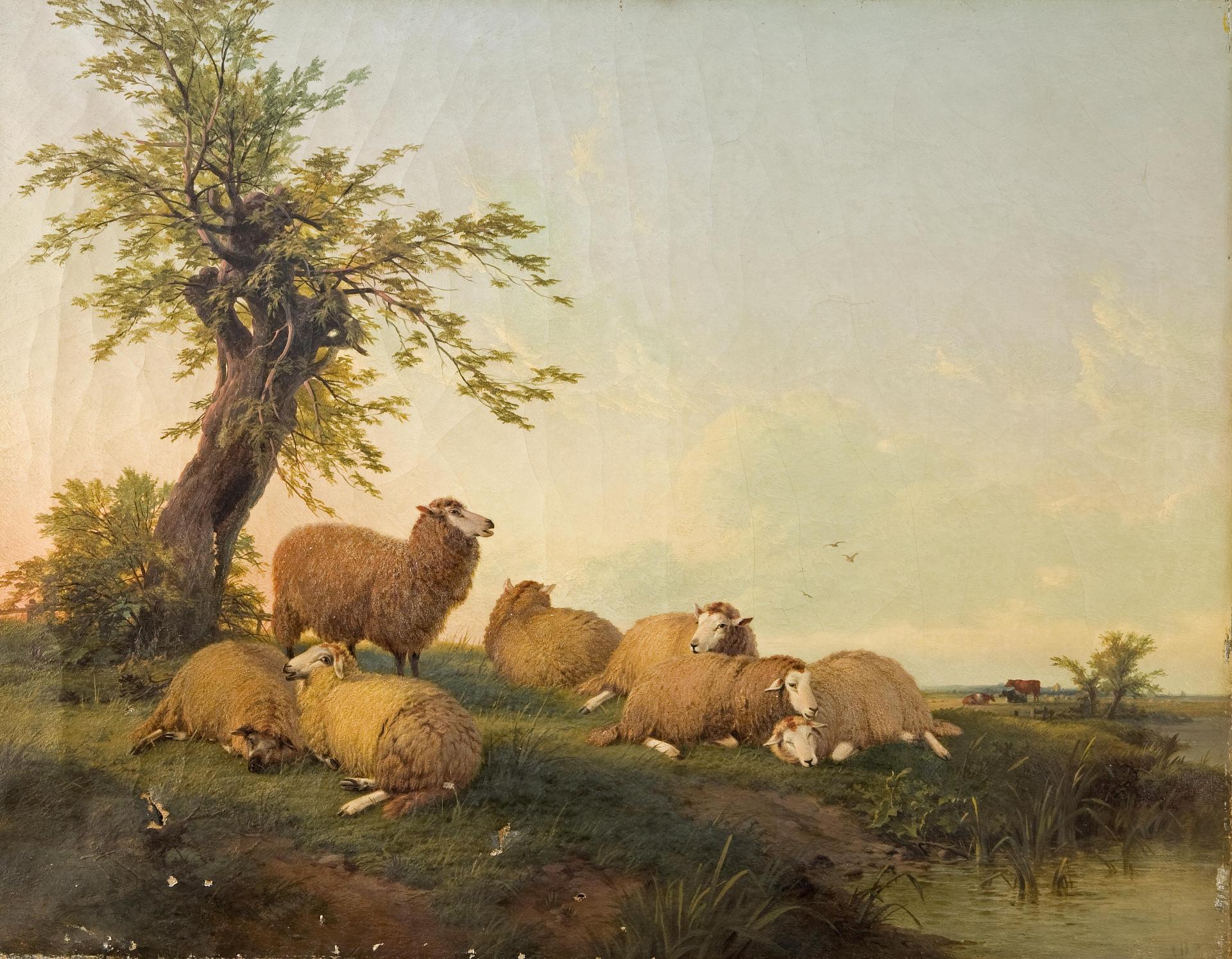 Thomas Sydney Cooper (1803-1902) - Sheep resting by a pool