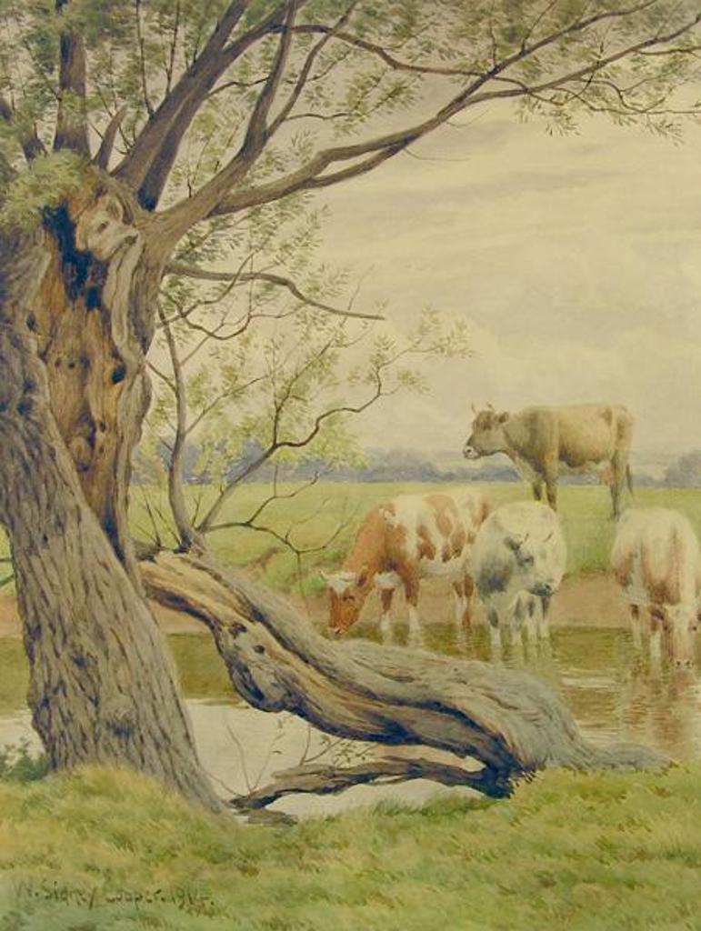 William Sidney Cooper (1854-1927) - Untitled