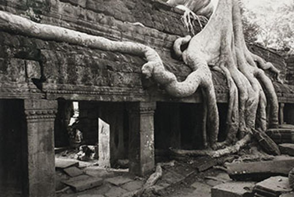 Kenro Izu (1949) - Angkor, Ta Prohm