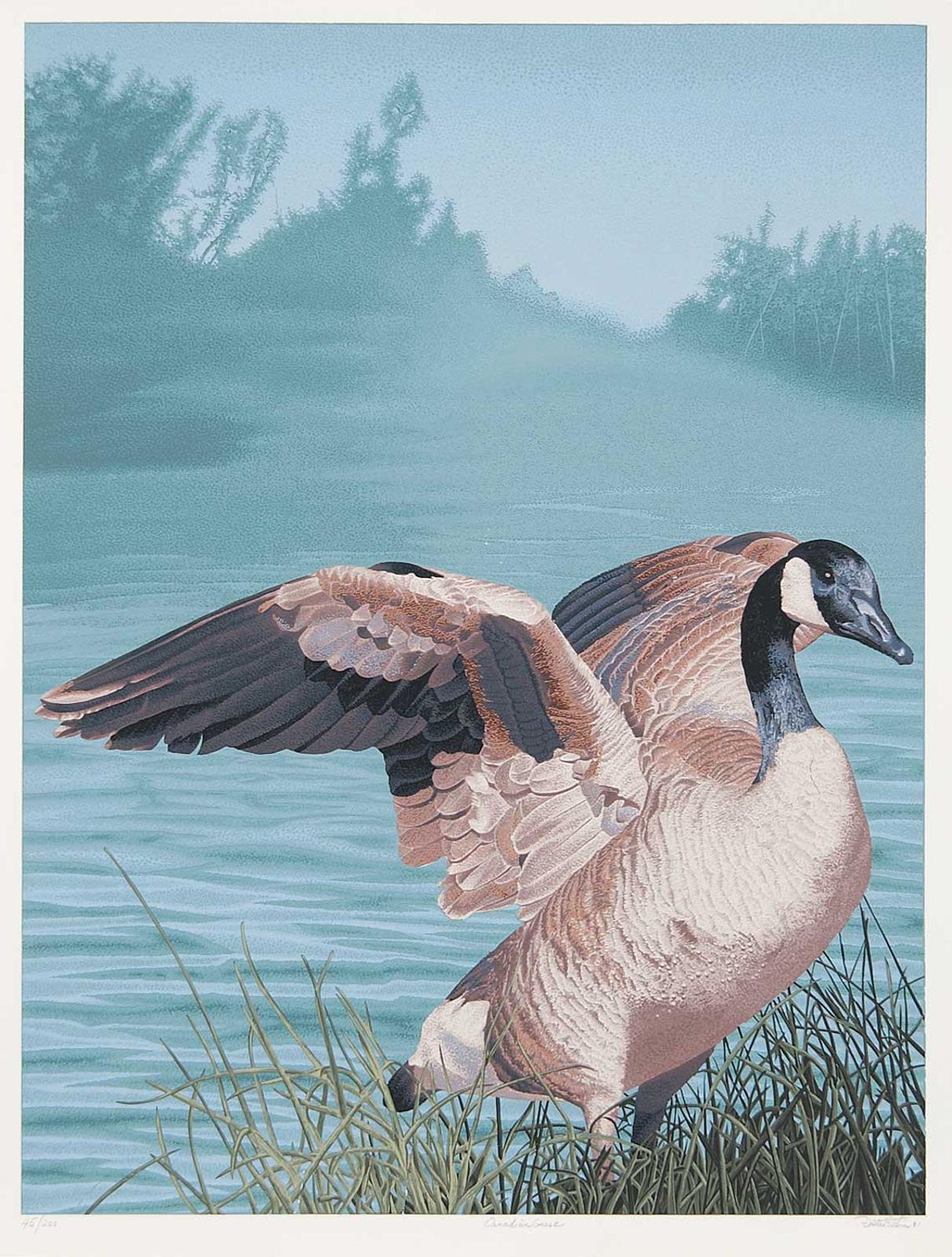 Dallas S. Estin - Canadian Goose  #45/200