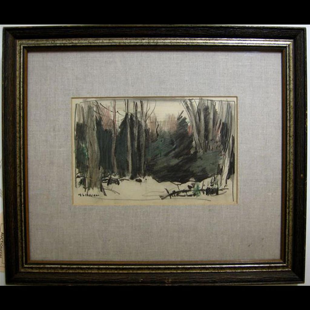 Frederick Simpson Coburn (1871-1960) - Winter Woodlands