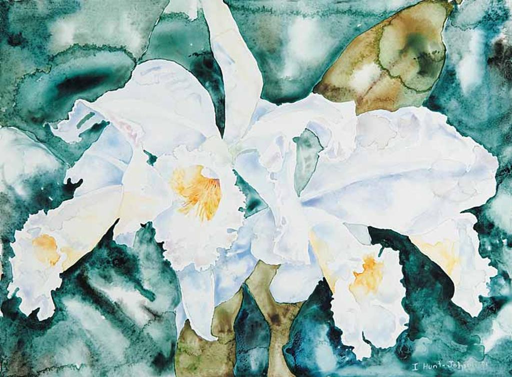 Isabelle Hunt-Johnson - Untitled - White Cattleyas