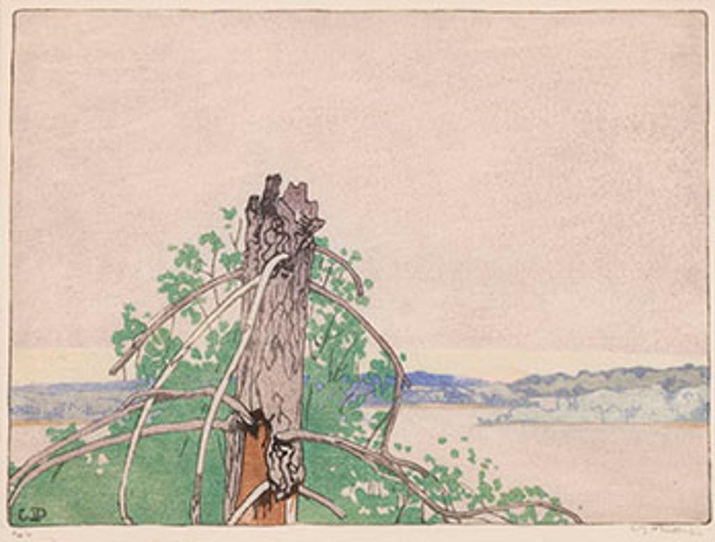 Walter Joseph (W.J.) Phillips (1884-1963) - Stump, Lake of the Woods