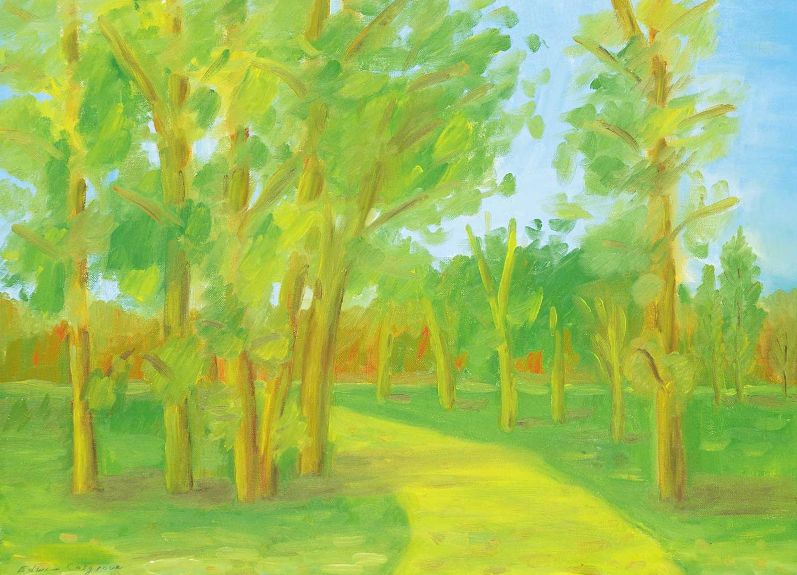 Edwin Cosgrove - Untitled - Forest Path