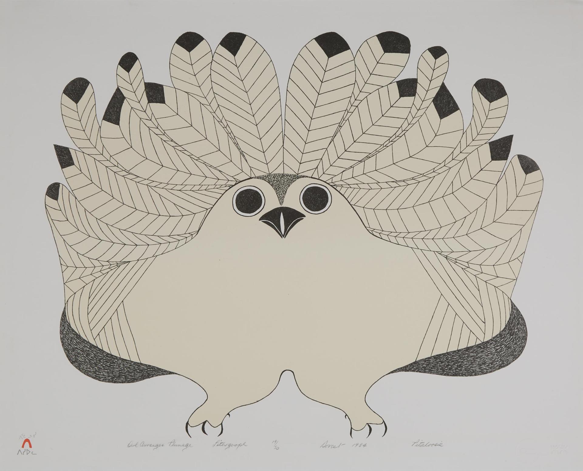 Pitaloosie Saila (1942-2021) - Owl Arranges Plumage