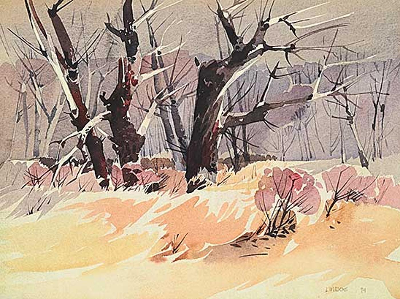 Luke Orton Lindoe (1913-1998) - Untitled - Winter Forest Gradient