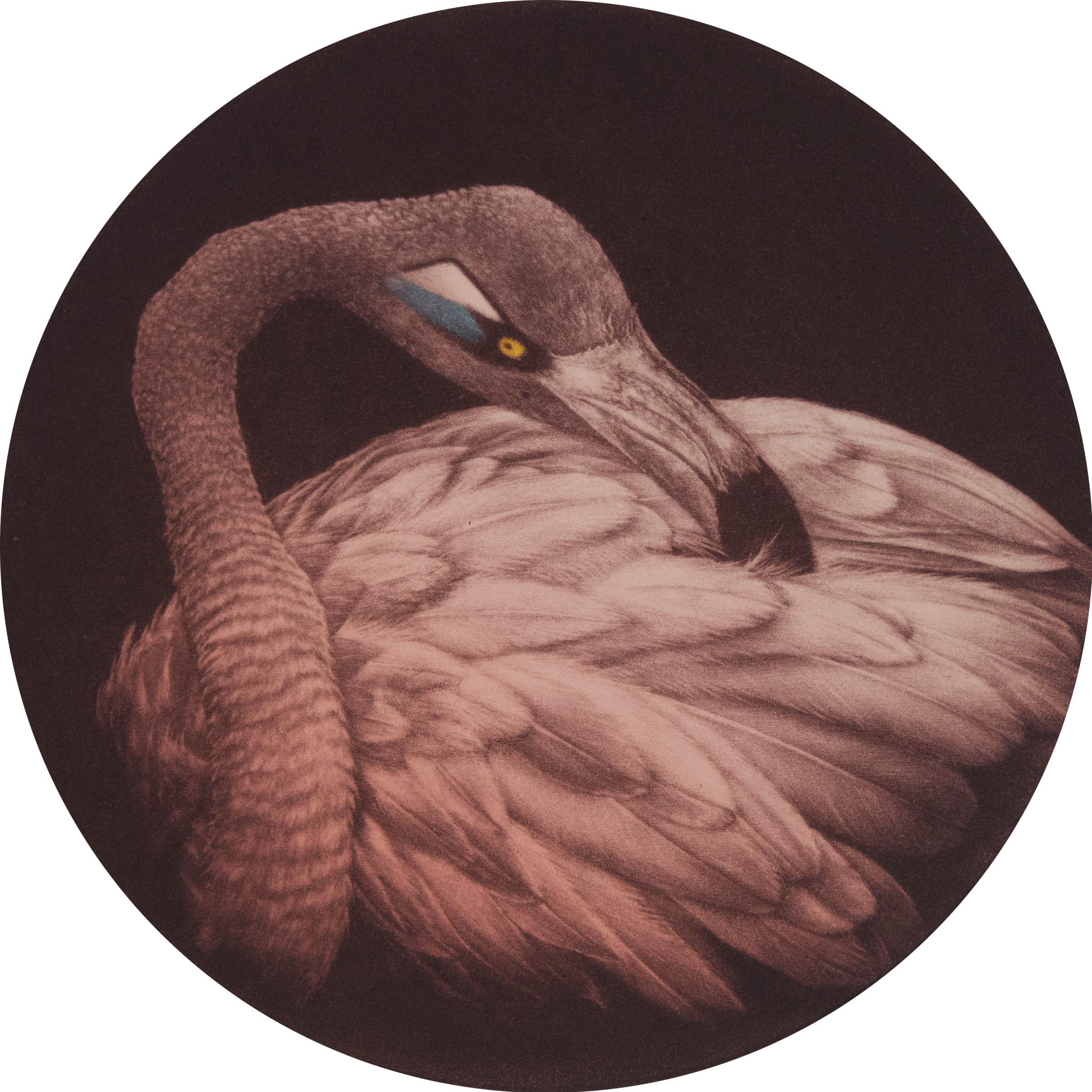 Laine Groeneweg - DIVINE, 2022