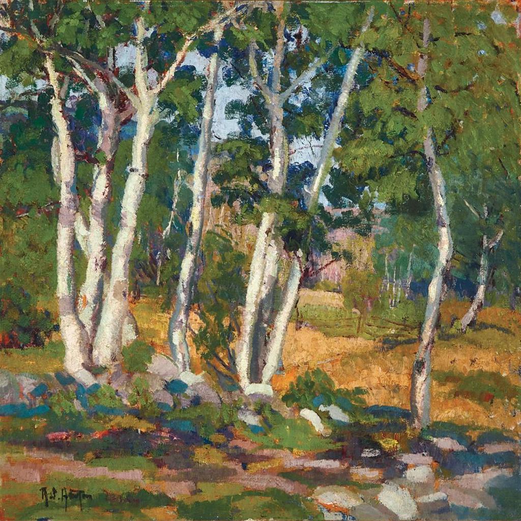 Randolph Stanley Hewton (1888-1960) - Birch Trees, Summer