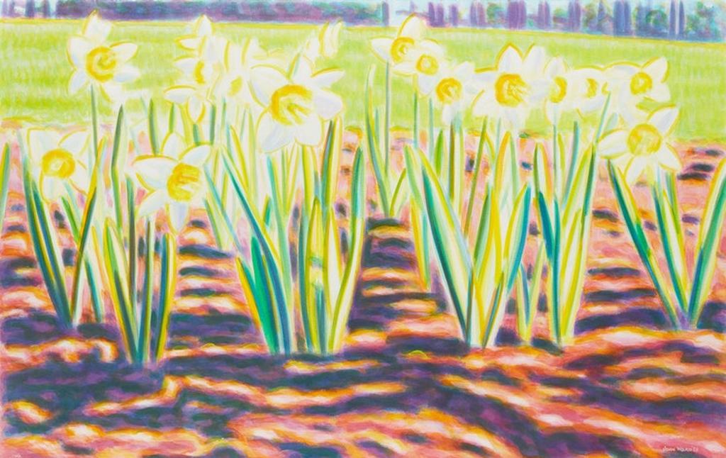 John Ward (1948) - Untitled (Flowers in Sunlight)