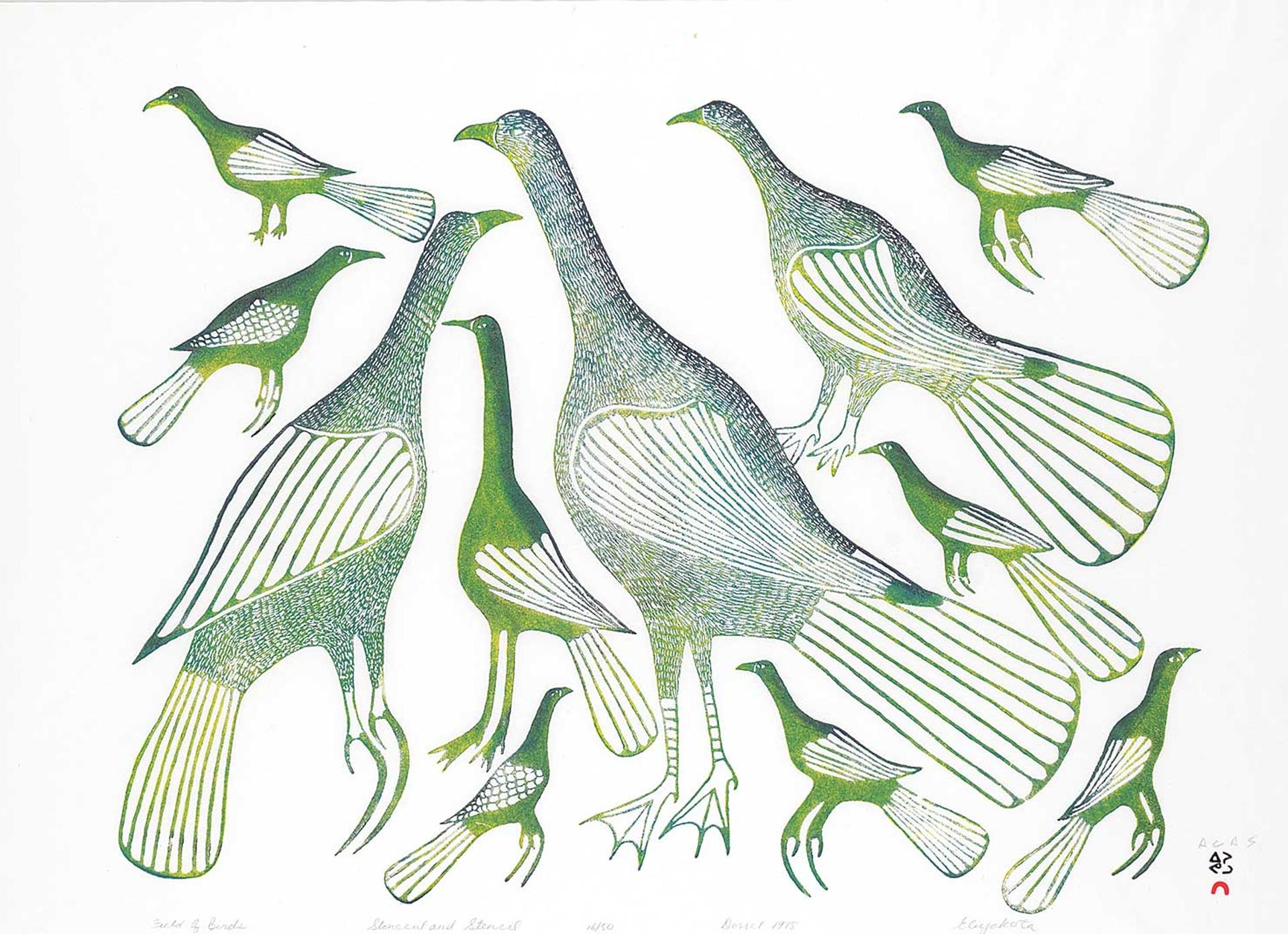 Eliyakota Samualie (1939-1987) - Field on Birds  #16/50