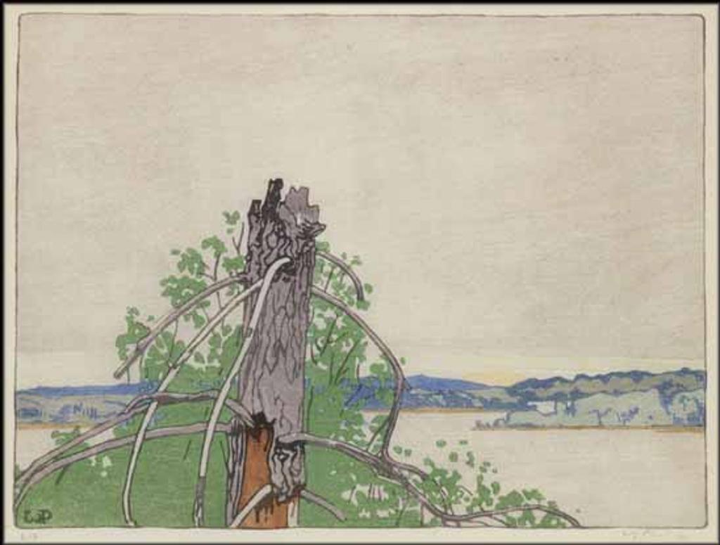 Walter Joseph (W.J.) Phillips (1884-1963) - The Stump, Lake of the Woods