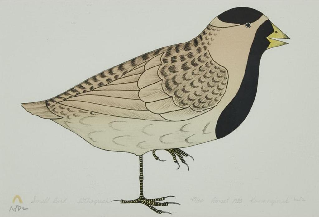 Kananginak Pootoogook (1935-2010) - Small Bird